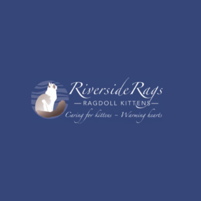 Riverside Rags - Ragdoll kittens