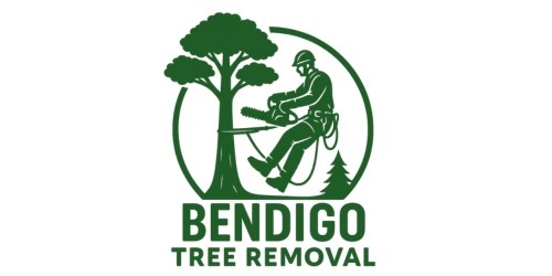 Bendigo Tree Removal
